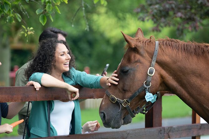 Irish National Stud & Gardens Skip the line Entrance - The Irish Racehorse Experience adds context