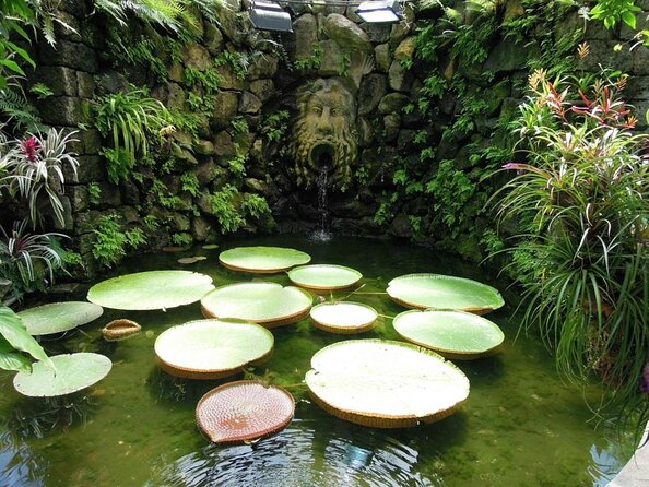 Ischia and La Mortella Gardens - Why Ischia makes a good day from Sorrento