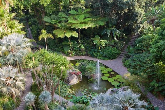 Ischia and La Mortella Gardens - What $140.88 buys you