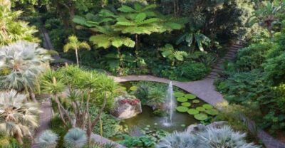 Ischia and Mortella Gardens Full-Day Tour from Sorrento