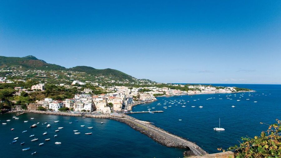 Ischia and Mortella Gardens Full-Day Tour from Sorrento - Who will enjoy this Ischia day trip?