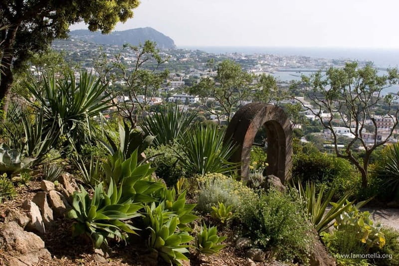 Ischia: La Mortella Gardens Trip with Optional Lunch - The transfer from Ischia to the gardens