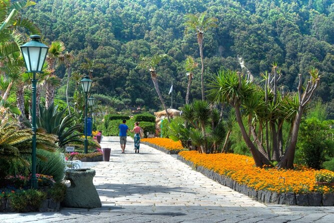 Ischia : Thermal Park Poseidon Gardens Entrance Ticket - Is the $67.36 admission good value?