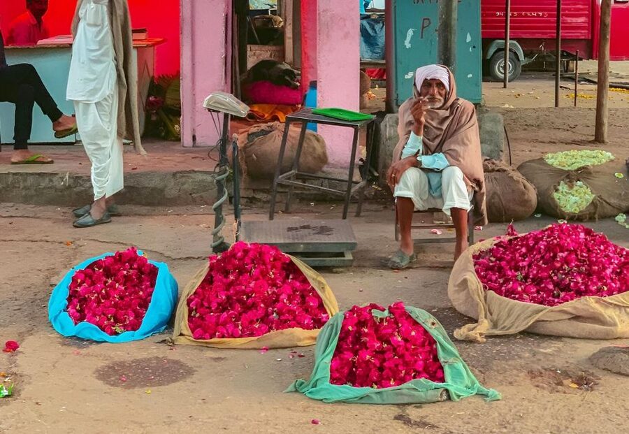 Jaipur: Half-Day Guided Sightseeing Tour with Flower Market - Jal Mahal, a short but memorable stop