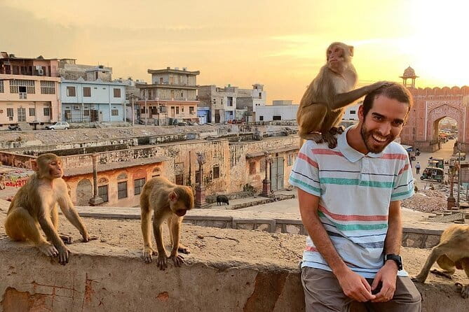 Jaipur Half-Day Tour with Flower Market & Sunset Views - Key points to know before booking