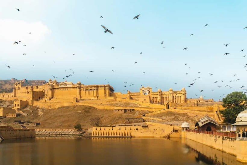 Jaipur: Half or Full Day Sightseeing Tour with Flower Market - Monkey Temple at Sunrise or Sunset