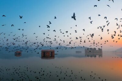 Jaipur Sunrise Tour with Morning Flower Market Walk