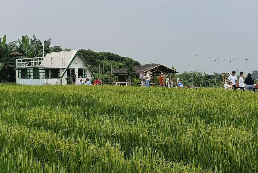 Jakarta Bogor Botanical Garden, Waterfall and Rice Terrace - Should you book it?