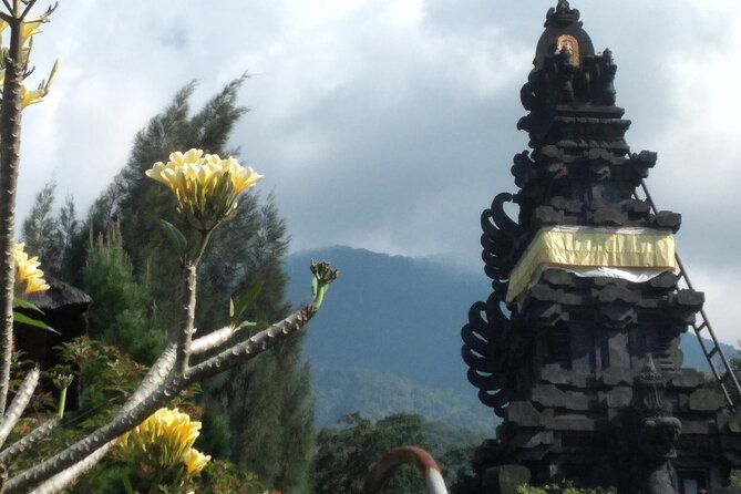 Jakarta Bogor Botanical Garden, Waterfall and Rice terrace, Lunch - Two hours among Bogor’s old trees