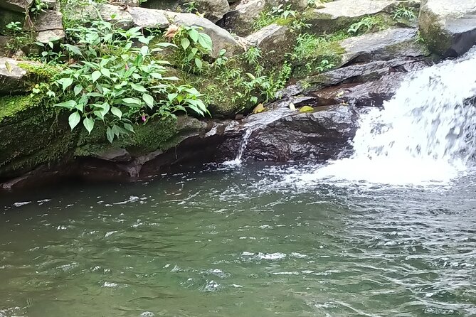 Jakarta Bogor Botanical Garden, Waterfall and Rice terrace, Lunch - The rocky route to Nangka Waterfall