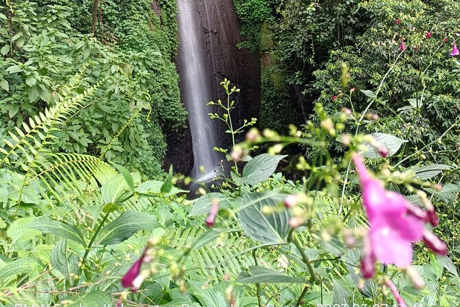 Jakarta Bogor Botanical Garden, Waterfall and Rice terrace, Lunch - Why the private format matters