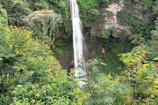 Jakarta Bogor Botanical Garden, Waterfall and Rice terrace, Lunch - A Sundanese lunch with mountain views