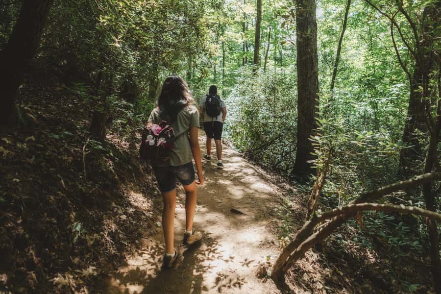 Jakarta: Botanical Garden & Rainforest Trekking to Waterfall - Why this trip works as a Jakarta escape