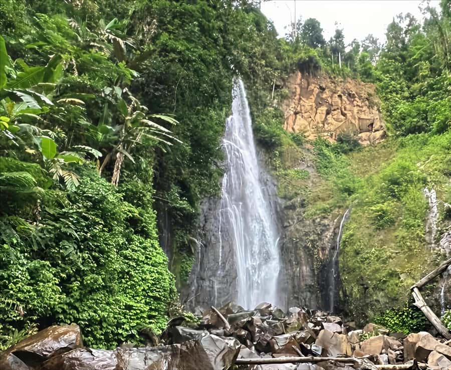 Jakarta: Botanical Garden & Rainforest Trekking to Waterfall - Bogor Botanical Garden and its 1817 roots