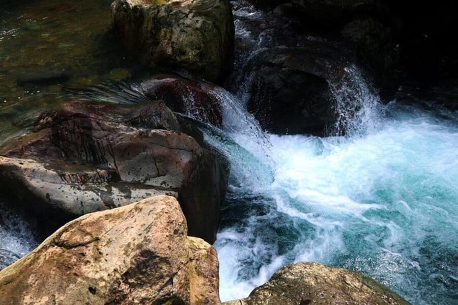 Jakarta: Botanical Garden & Rainforest Trekking to Waterfall - What the private format adds