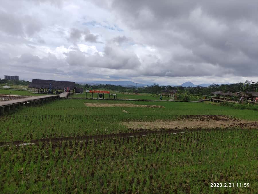 Jakarta : Botanical Garden, Waterfalls, and Rice Fields Tour - Two hours among Bogor’s plants