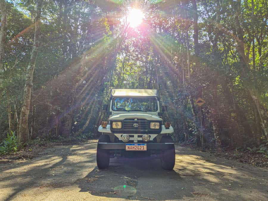 Jeep'n'Green: Rio Botanical Garden & Tijuca Rainforest Tour - Key points to know before booking