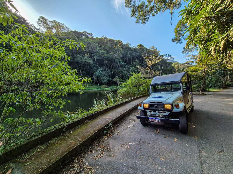 Jeep'n'Green: Rio Botanical Garden & Tijuca Rainforest Tour - Why this four-hour Rio tour works