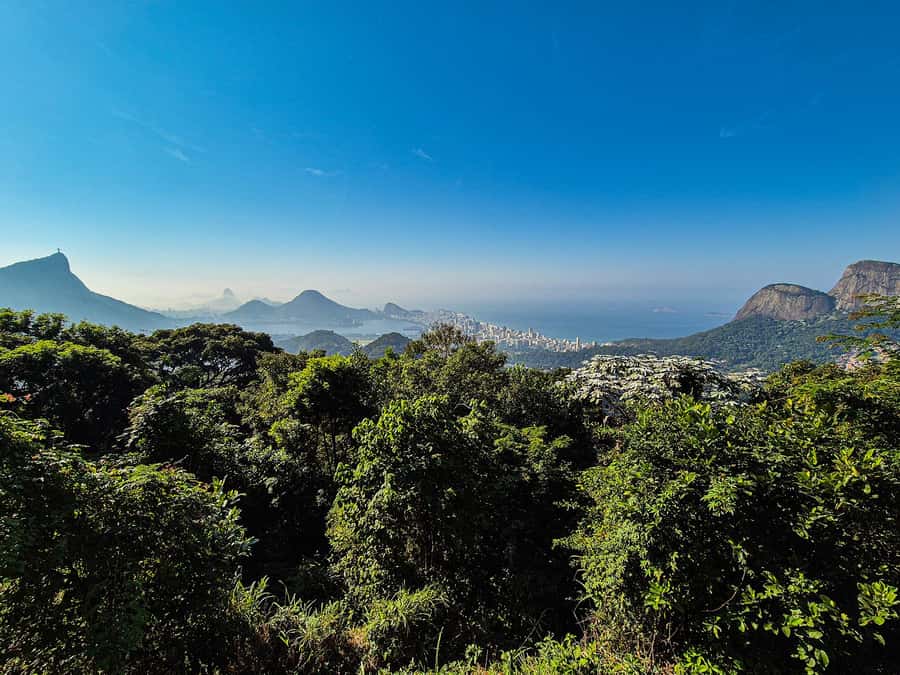 Jeep'n'Green: Rio Botanical Garden & Tijuca Rainforest Tour - The short trail to Cachoeira dos Macacos