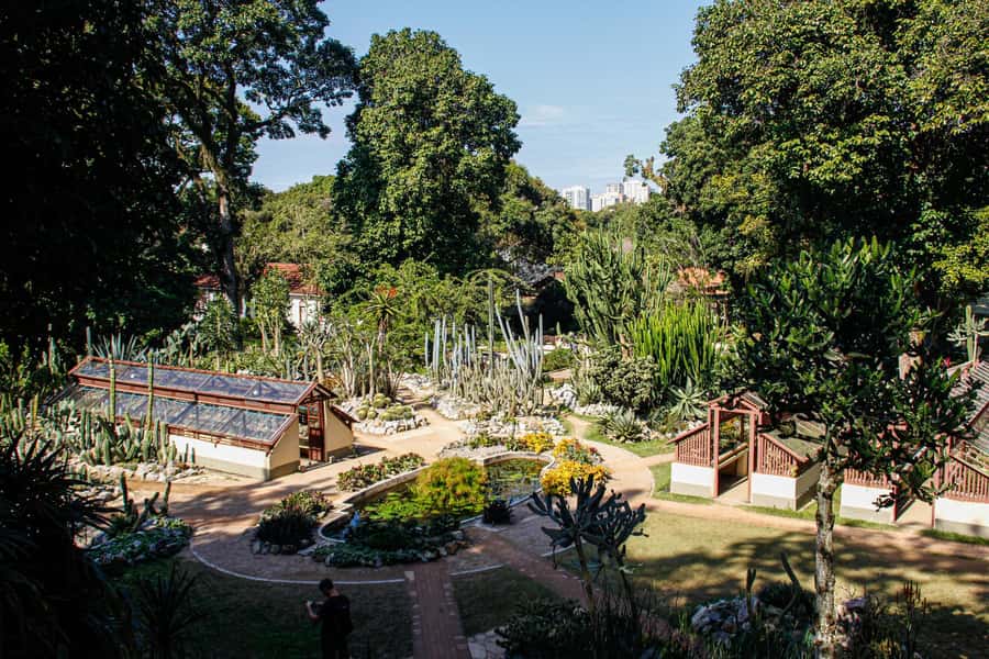 Jeep'n'Green: Rio Botanical Garden & Tijuca Rainforest Tour - Vista Chinesa and the weekend catch