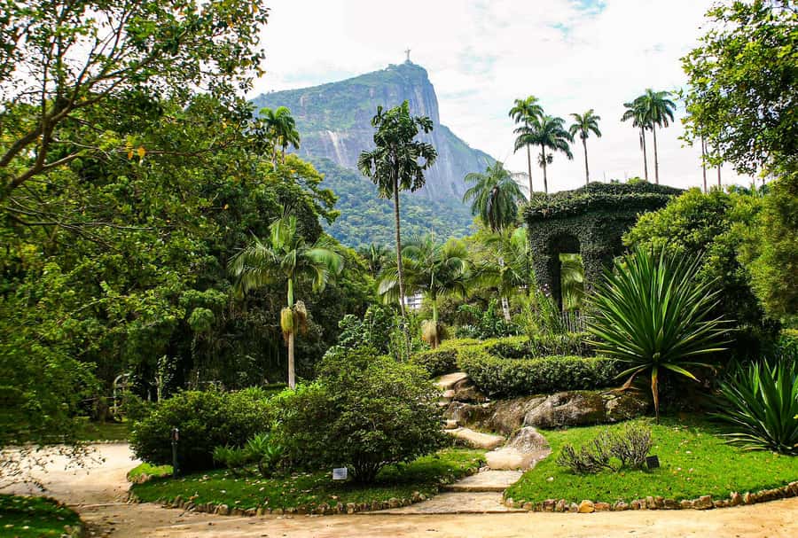 Jeep'n'Green: Rio Botanical Garden & Tijuca Rainforest Tour - Starting beneath Corcovado at the Botanical Garden