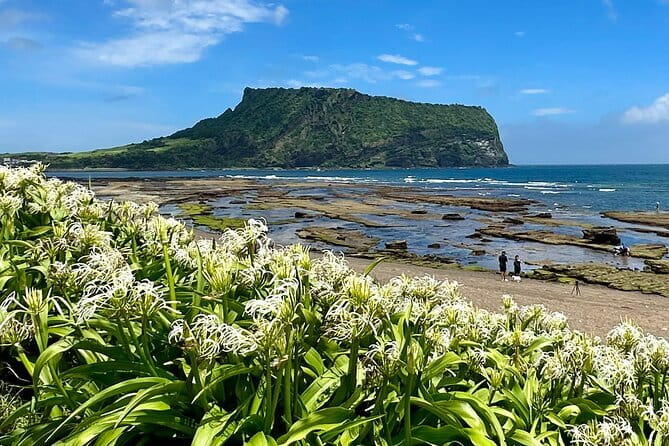 Jeju BTS & K-drama Fans Small Group Tour incl. Snoopy Garden - The haenyeo stop adds real Jeju identity