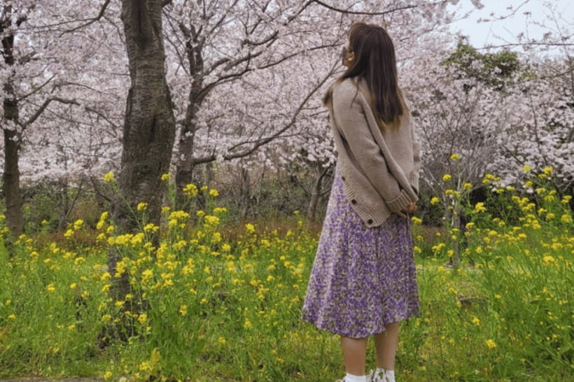 Jeju: Cherry Blossom South & West Day Tour with Hotel Pickup - Yongmeori Coast and volcanic scenery