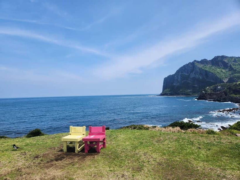 Jeju East: Cherry Blossom Early Bird Tour with Hotel Pickup - Key points to know before booking