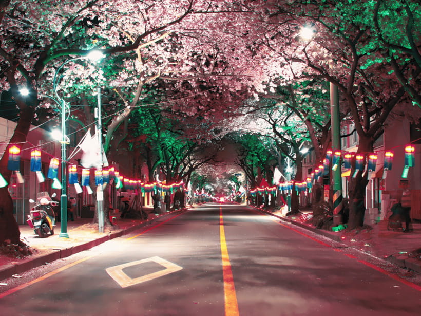 Jeju East: Cherry Blossom Early Bird Tour with Hotel Pickup - Seongsan Ilchulbong, the volcanic finale