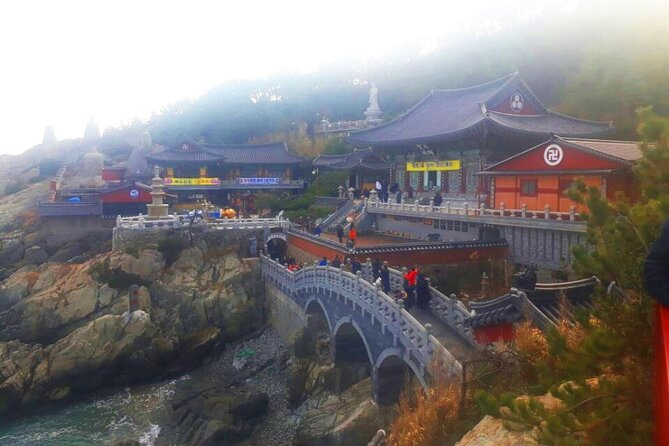 Jinhae Cherry Blossom + Busan Sunrise from Seoul - Who should book this overnight outing?