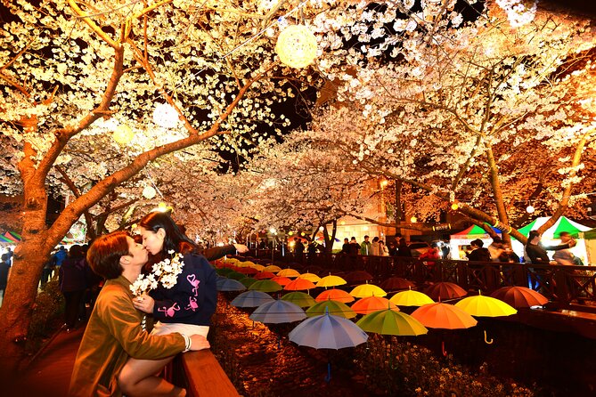 Jinhae Cherry Blossom Day trip from Busan - A Spring Adventure! - Two and a half hours around Jinhae Post Office
