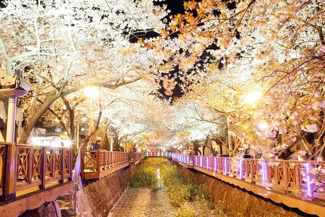 Jinhae Cherry Blossom Day trip from Busan - A Spring Adventure! - Walking the railway at Gyeonghwa Station