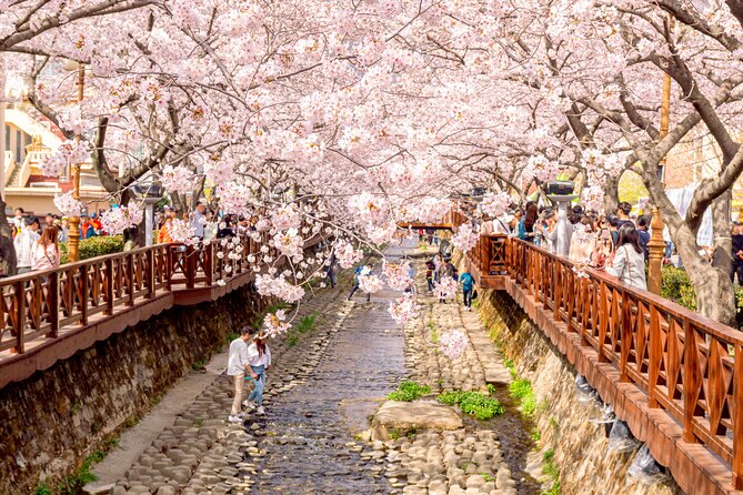 Jinhae Cherry Blossom Festival Gyeonghwa Stn Day Tour from Seoul - Why Jinhae is worth the long ride from Seoul