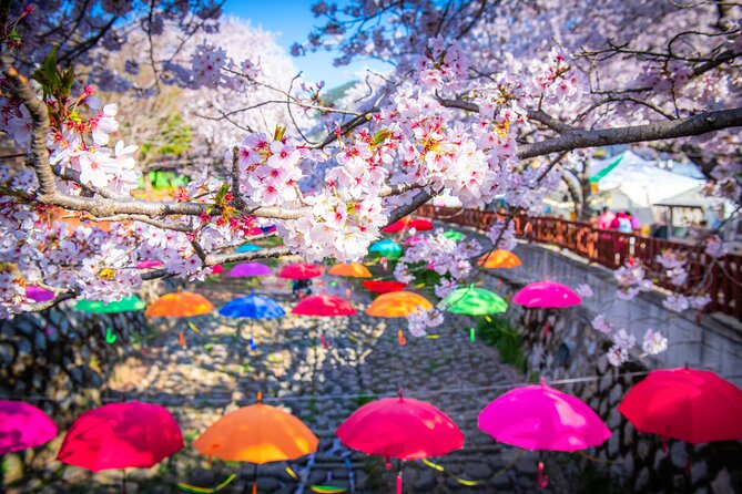Jinhae Cherry Blossom Festival Gyeonghwa Stn Day Tour from Seoul - The early start and five-hour road trip