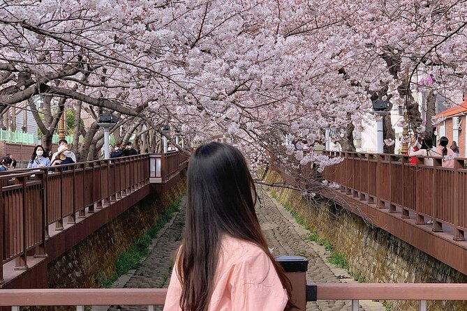 Jinhae Pink Cherry Blossom One Day Tour From Busan - Three hours beside Yeojwacheon Stream