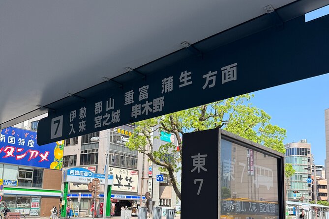 Kagoshima Gardens & Shrines — Local Bus Guided Tour (Small-Group) - A quiet alternative to Kagoshima’s headline attractions