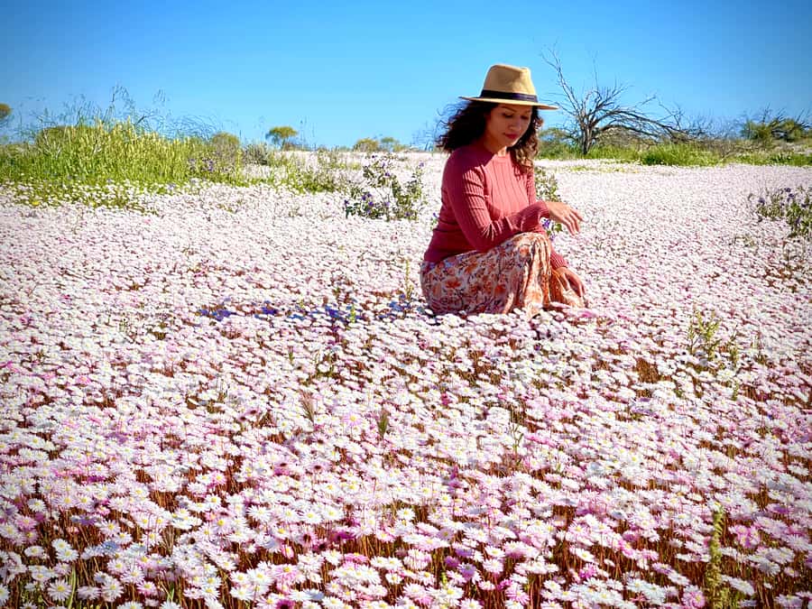 Kalbarri Wildflower Tour with Local Guide - Key things to know before booking