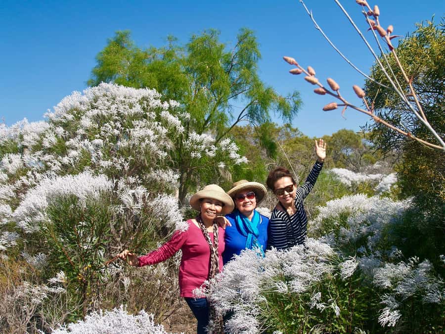 Kalbarri Wildflower Tour with Local Guide - The best time to book