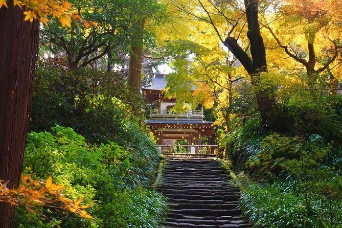 Kamakura Zen Temples and Gardens Private Trip with Government-Licensed Guide - Key points at a glance