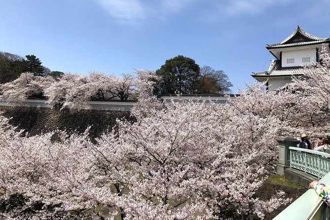 Kanazawa Private Tour: Highlights of an Old Samurai Town - Entering the Nomura family samurai home