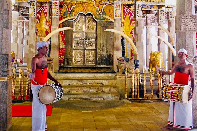 Kandy Transfer Visiting Dambulla Cave Temple and Herbal Garden - The Ride to Kandy