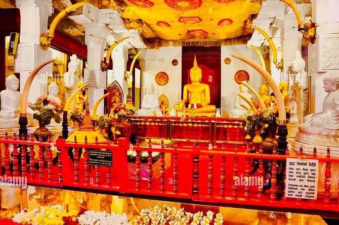 Kandy Transfer Visiting Dambulla Cave Temple and Herbal Garden - What the Customer Feedback Tells You