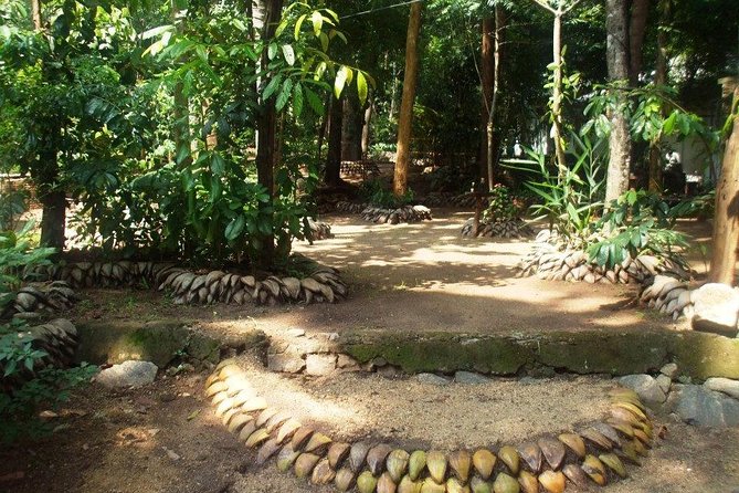 Kandy Transfer Visiting Dambulla Cave Temple and Herbal Garden - Dambulla Cave Temple and the Golden Buddha