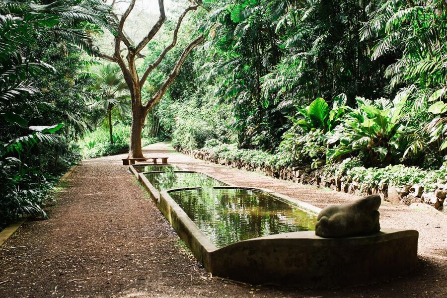 Kauai: Allerton Garden and Estate Tour with Sunset Dinner - How Much Value Do You Get for $106?