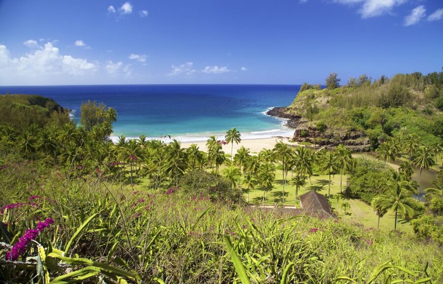 Kauai: Allerton Garden Guided Group Walking Tour - Key points to know before you go