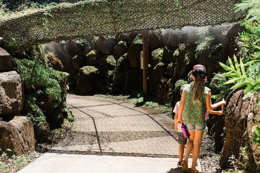 Kauai: McBryde Garden Self Guided Visit - Key points to know before you go