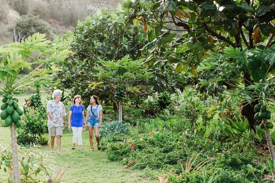 Kauai: McBryde Garden Self Guided Visit - Is $31 a fair price?
