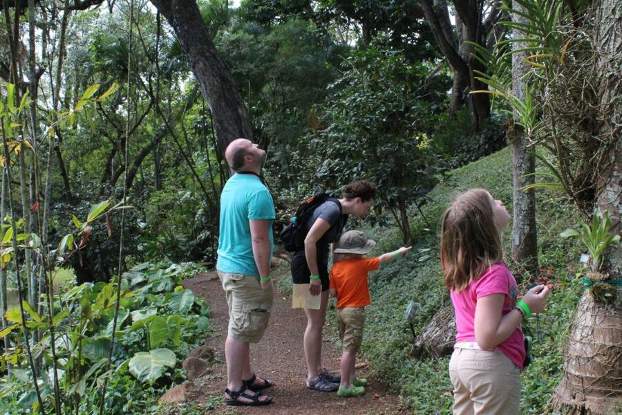 Kauai: McBryde Garden Self Guided Visit - The Tree of Life Trail and agroforestry project