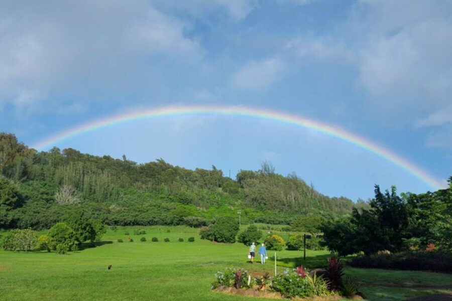 Kauai: McBryde Garden Self Guided Visit - A living laboratory, birds, and tropical variety