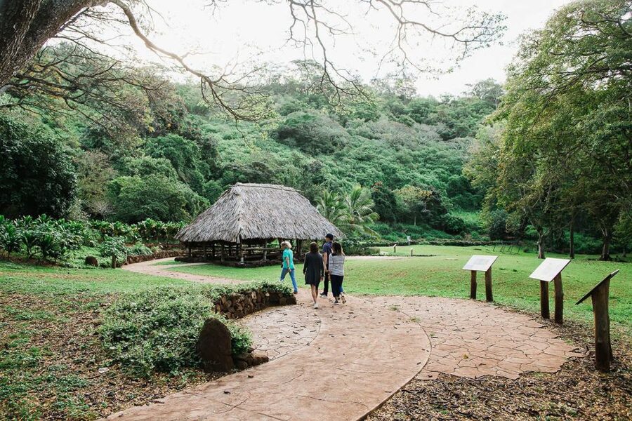 Kauai: McBryde Garden Self Guided Visit - Shoes, weather, and walking conditions